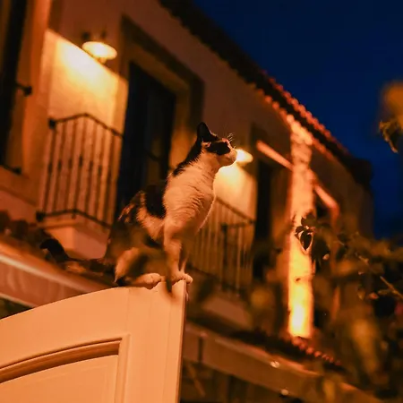 Portakal Cicegi 酒店 *