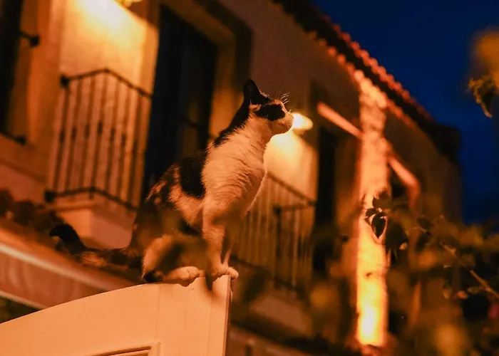 Portakal Cicegi Hotel *