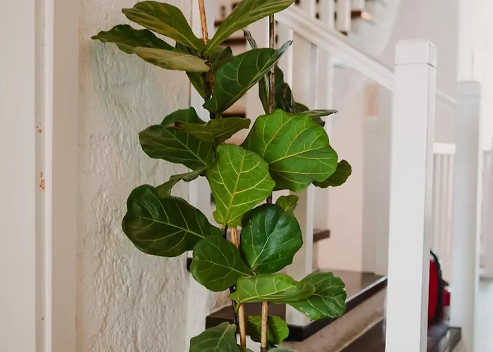 Hotel Portakal Cicegi